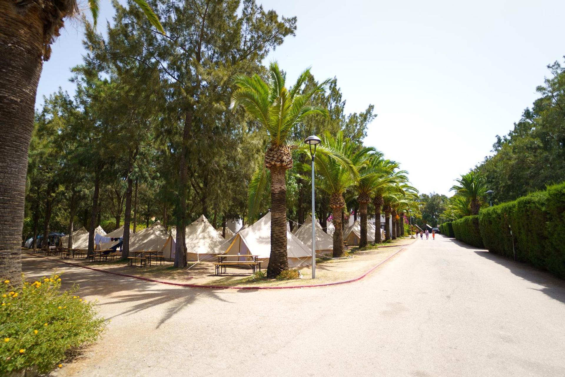 Kampaoh Paloma * Tarifa